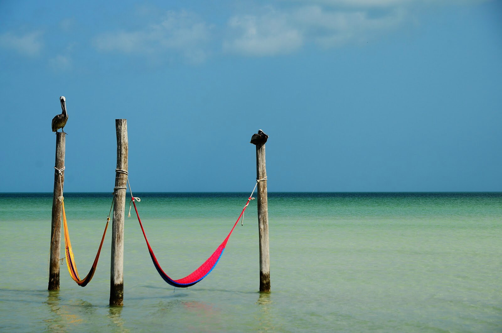 Tres playas para disfrutar de la bioluminiscencia en México Tres playas para disfrutar de la bioluminiscencia en México