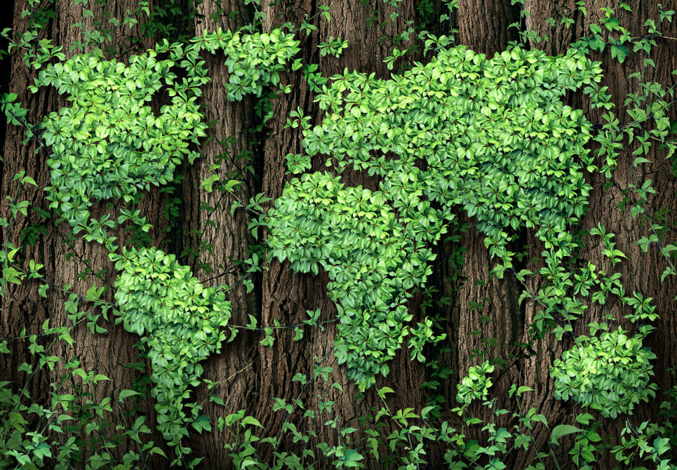 Las iniciativas de financiación verde cobran protagonismo en Colombia y el mundo Las iniciativas de financiación verde cobran protagonismo en Colombia y el mundo