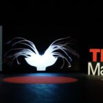 TEDxMadrid_2019 TEDxMadrid_2019