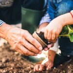 Jubilacion-mercados-sostenibilidad- plantar- medio ambiente- tierra-planta Jubilacion-mercados-sostenibilidad- plantar- medio ambiente- tierra-planta