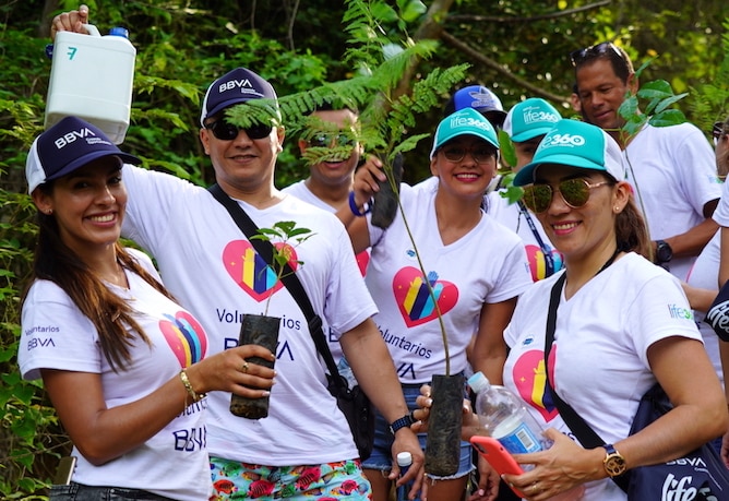 Voluntarios 1 - BBVA Siembra de árboles