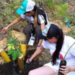 Voluntarios 2 - BBVA Siembra de árboles