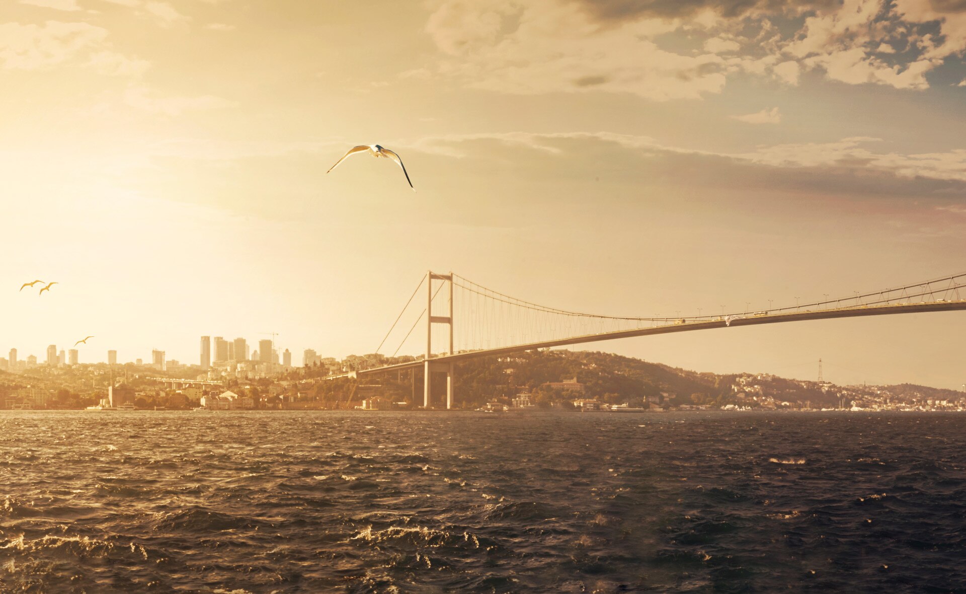 estambul-Turquía-comercio-exterior-puente-Bosforo