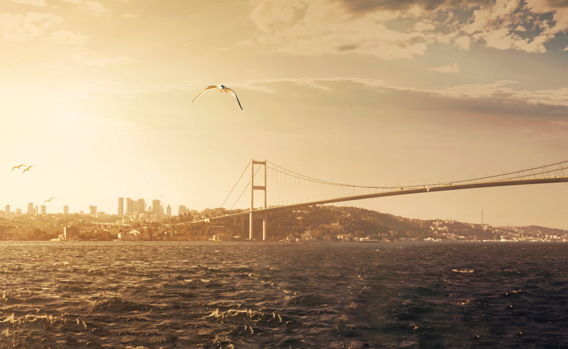 estambul-Turquía-comercio-exterior-puente-Bosforo estambul-Turquía-comercio-exterior-puente-Bosforo