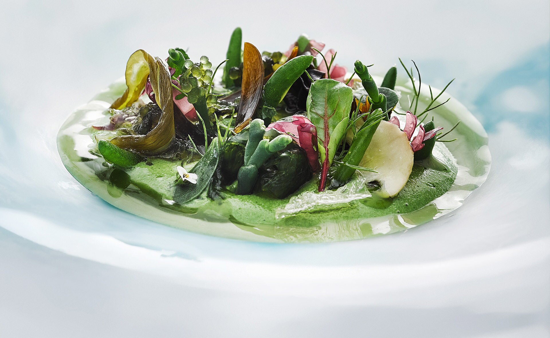 BBVA-Podcast-Blink-Alta-cocina-sostenible-