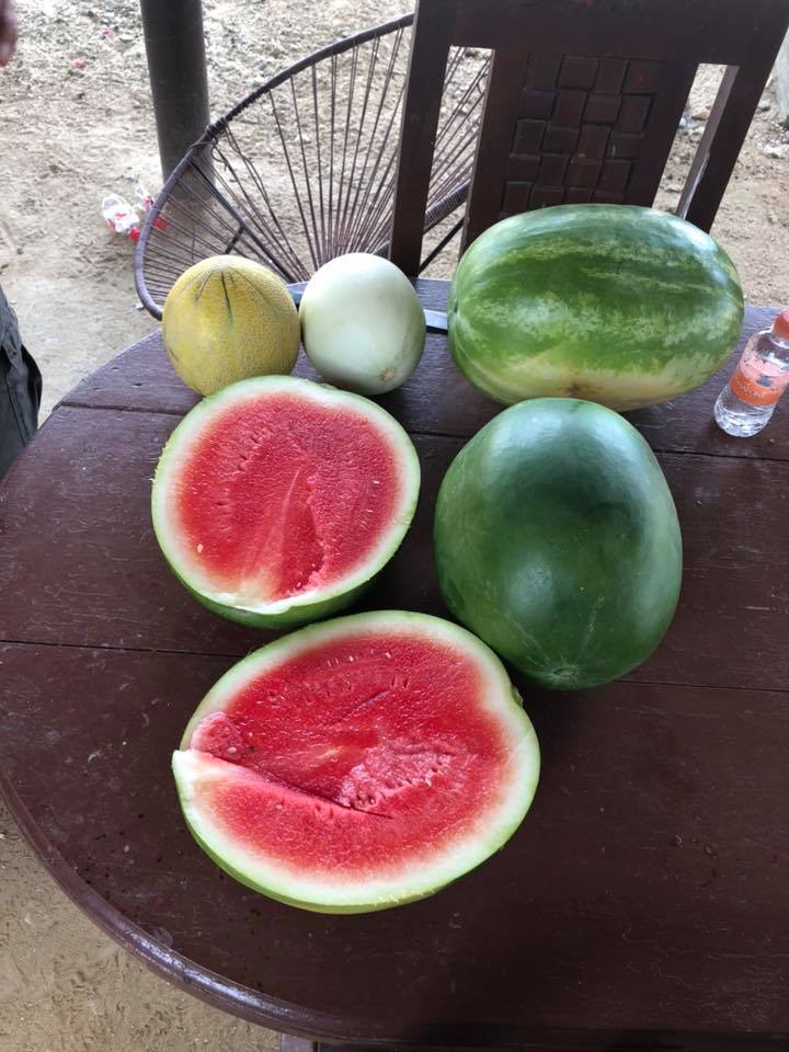 Nutrición del campo_BBVA Momentum Mexico 2019