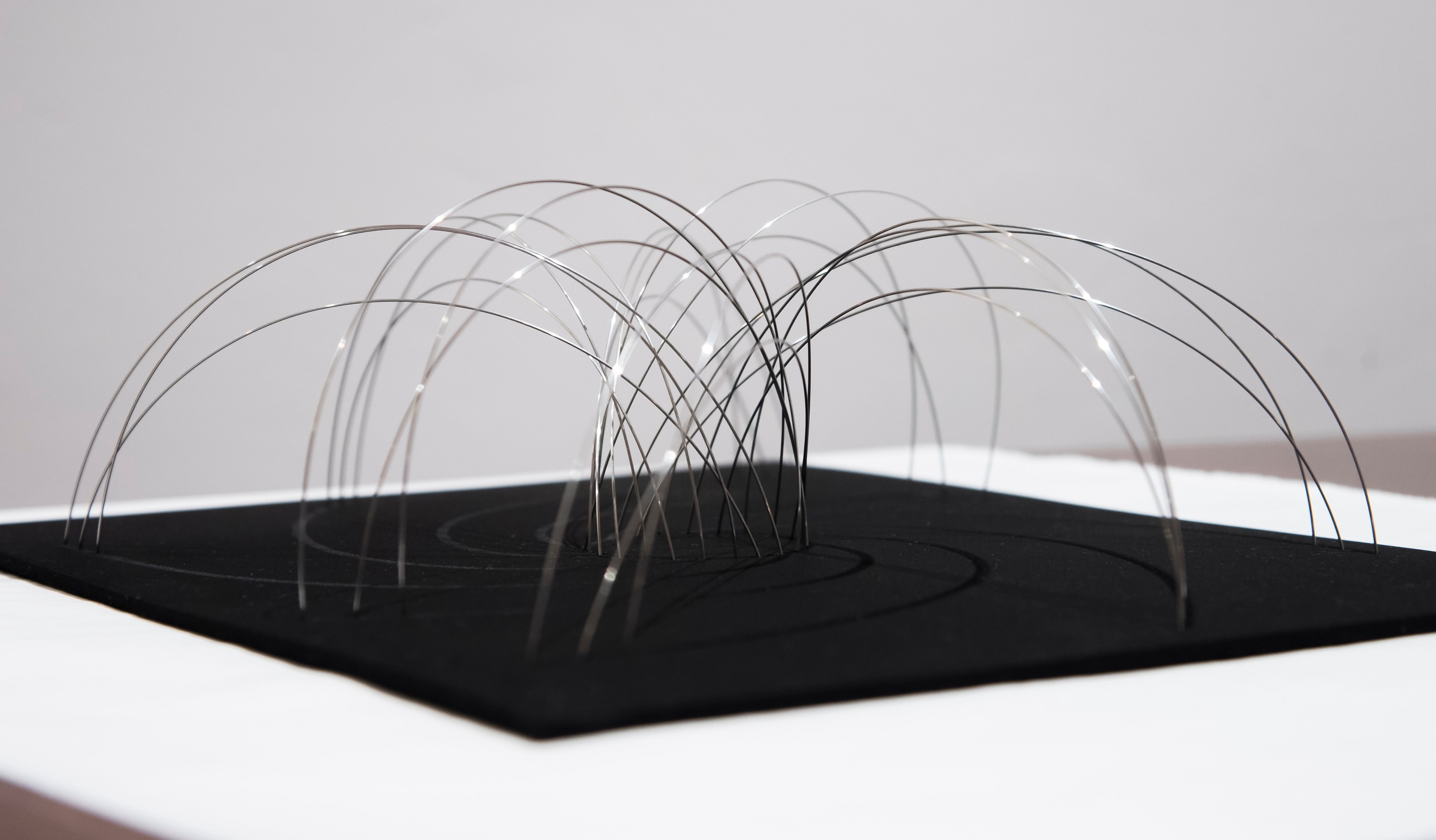 Picture of BBVA Foundation Frontiers of Knowledge Award