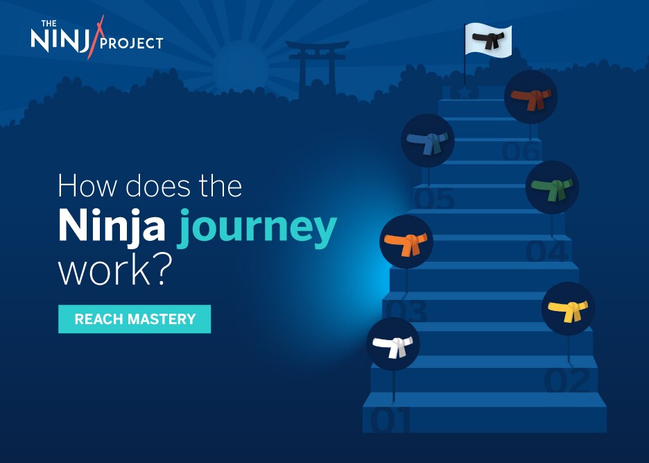 BBVA-ninja-infografia-ENG-como-funciona