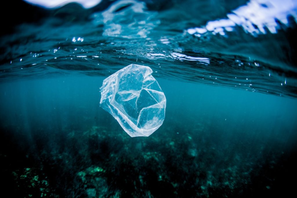 plásticos, contaminación plásticos, contaminación