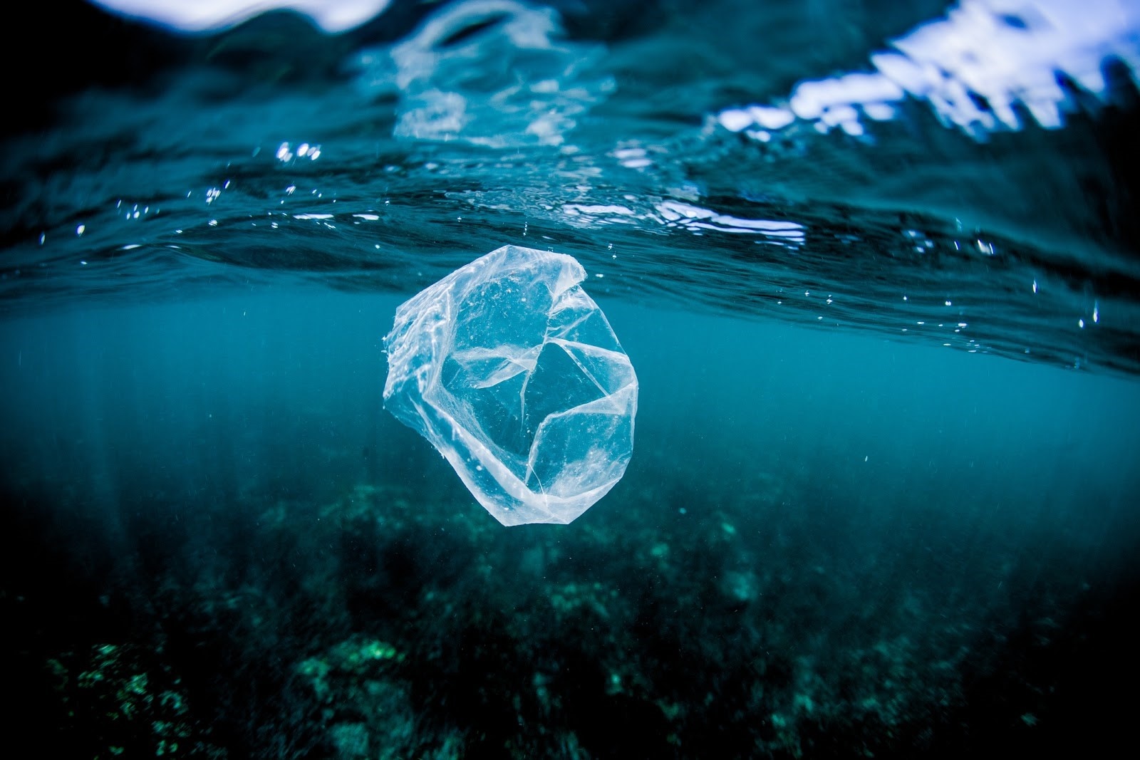 plásticos, contaminación plásticos, contaminación
