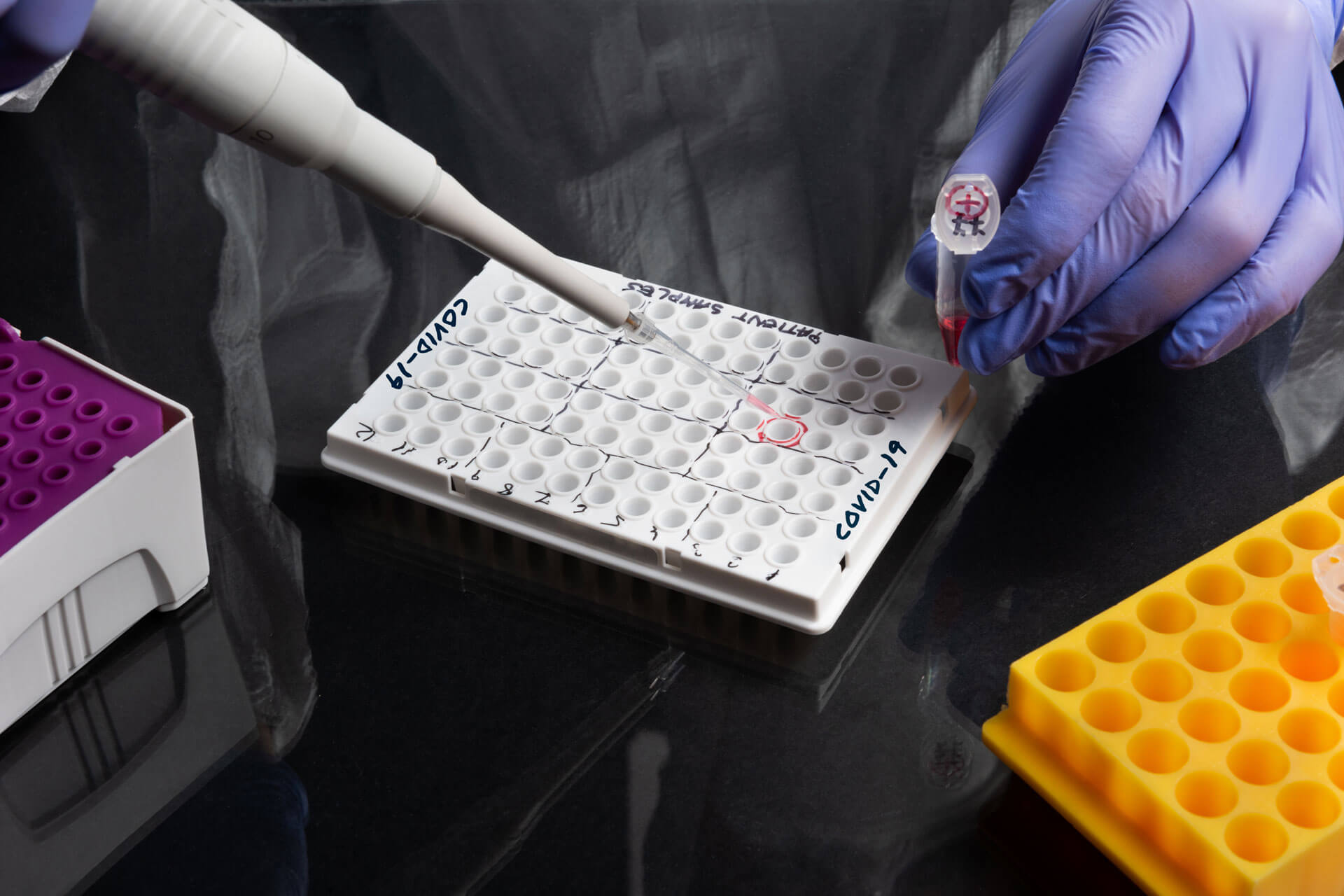 test-asia-proteccion-pandemia-investigación-ciencia- test-asia-proteccion-pandemia-investigación-ciencia-