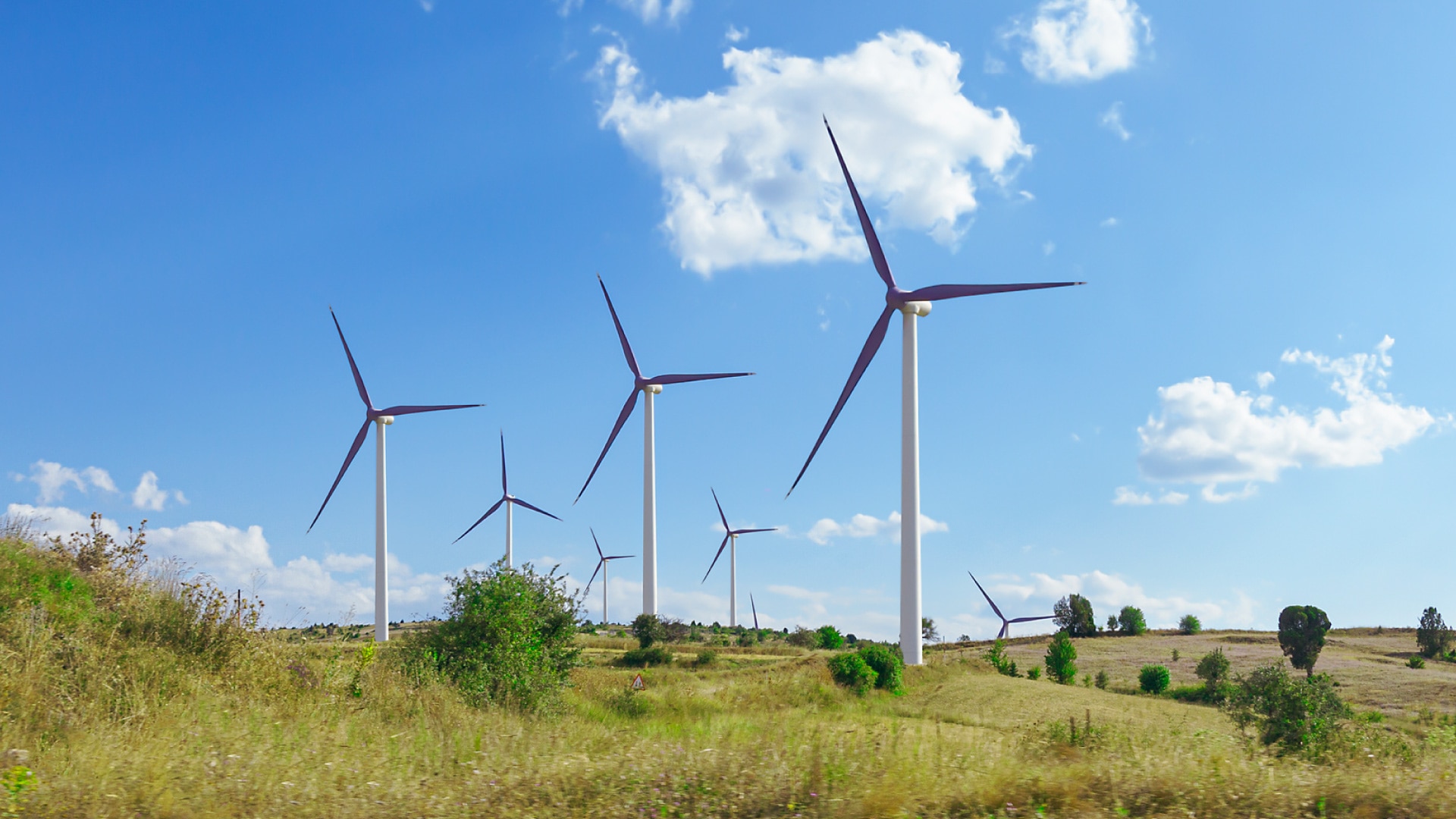 La sostenibilidad, clave en el nuevo orden mundial post COVID19