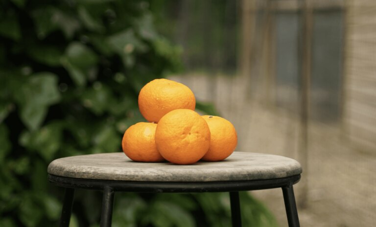mandarina-gastronomía-sostenible-bbva-celler-mayo-naranjas-lola