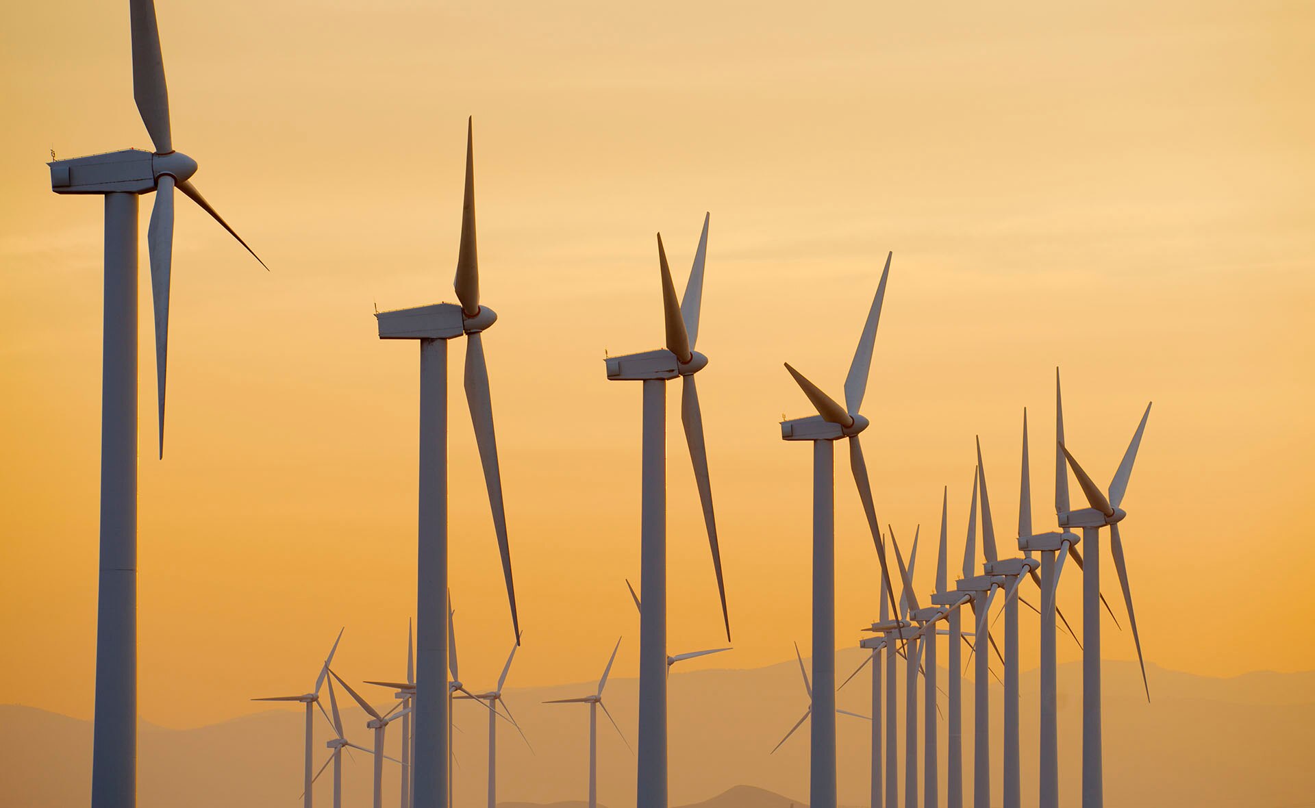 BBVA-Peru-Plan-molinos-sostenibilidad- BBVA-Peru-Plan-molinos-sostenibilidad-