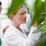 BBVA-ferrer-farmaceutica-acuerdo-sostenible BBVA-ferrer-farmaceutica-acuerdo-sostenible
