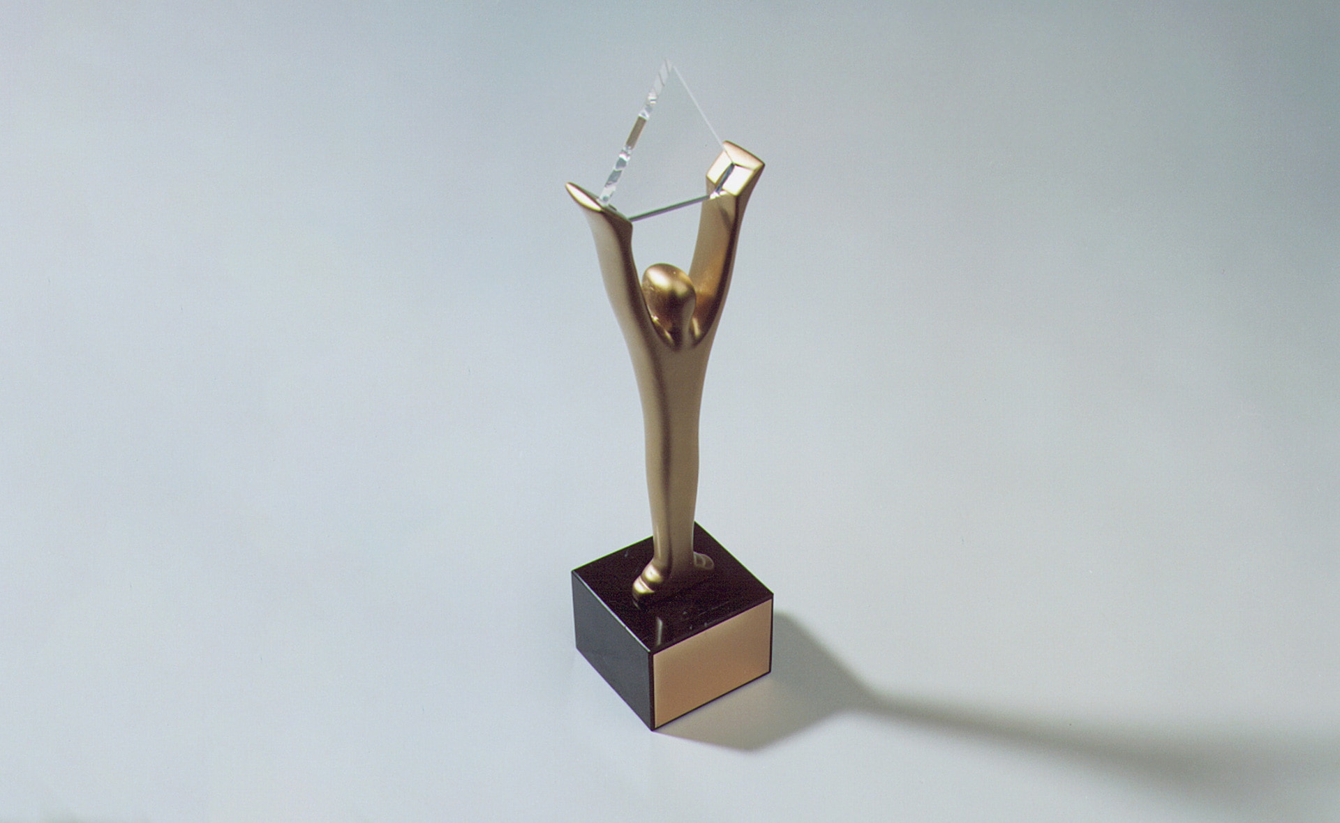 BBVA-Garanti-stevie-award-premio