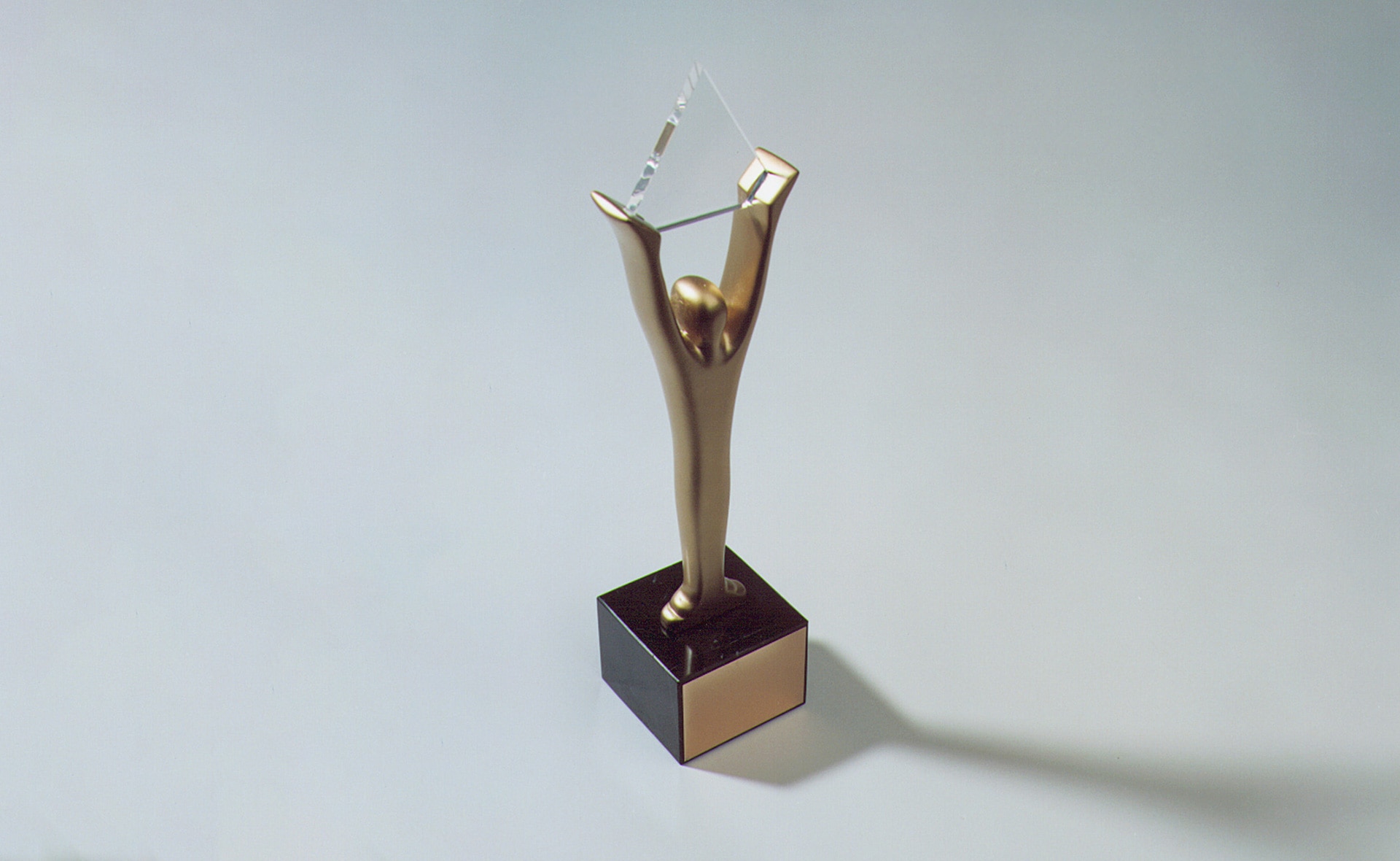 BBVA-Garanti-stevie-award-premio BBVA-Garanti-stevie-award-premio
