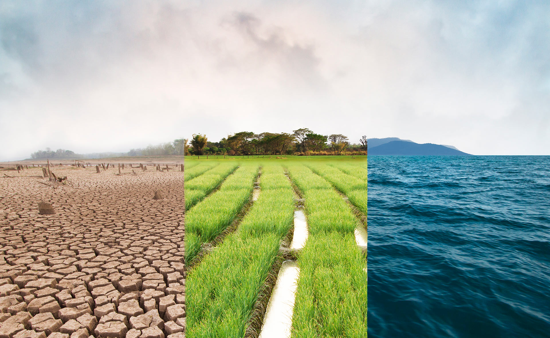 BBVA-acuerdo-por-el-clima-sostenibilidad-acuerdo-cambio-climatico BBVA-acuerdo-por-el-clima-sostenibilidad-acuerdo-cambio-climatico