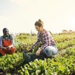 produccion_ecologica-campo-sostenibilidad produccion_ecologica-campo-sostenibilidad