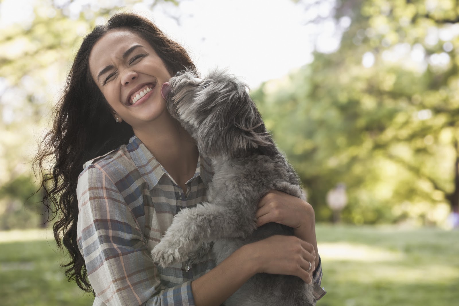Cuatro cuidados esenciales que incluye el Seguro para Mascotas Cuatro cuidados esenciales que incluye el Seguro para Mascotas