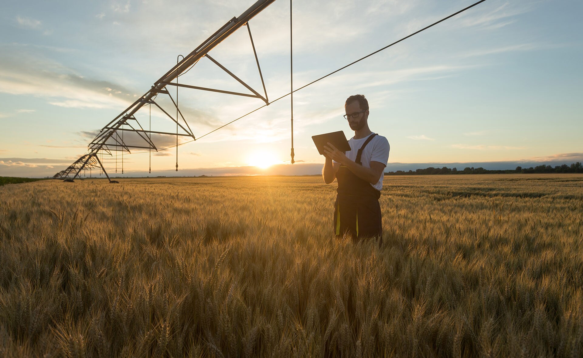 BBVA-emprendimiento-rural-cataluna BBVA-emprendimiento-rural-cataluna