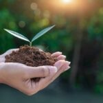 ¿Qué es y por qué importa tanto la sostenibilidad?