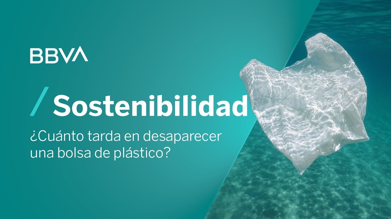 tira Seguir Retencion bolsa de plastico cuanto tarda en degradarse