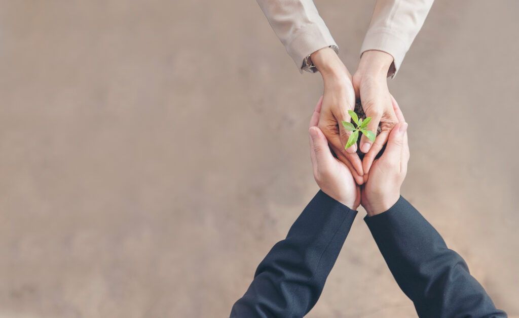 BBVA Asset Management gana el premio CFI al mejor equipo de inversión sostenible BBVA-Asset-management-premio-inversion-sostenible-banca-