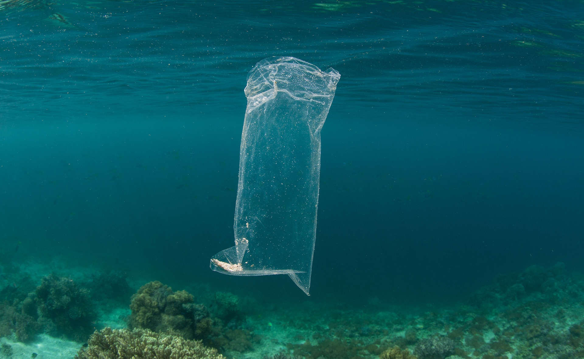 BBVA-bolsa-plastico-desaparecer-reciclaje-sostenibilidad-contaminacion-mares BBVA-bolsa-plastico-desaparecer-reciclaje