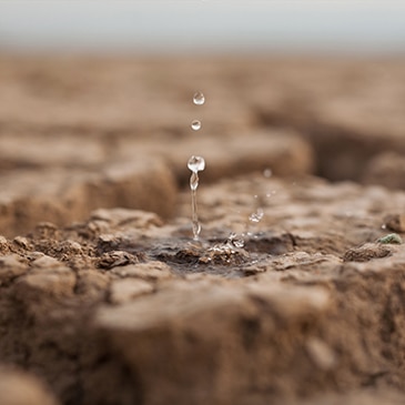 BBVA-escasez-agua-sequía-planeta-sostenibilidad-agua-ecología-cuidado-planeta-ods-bbva