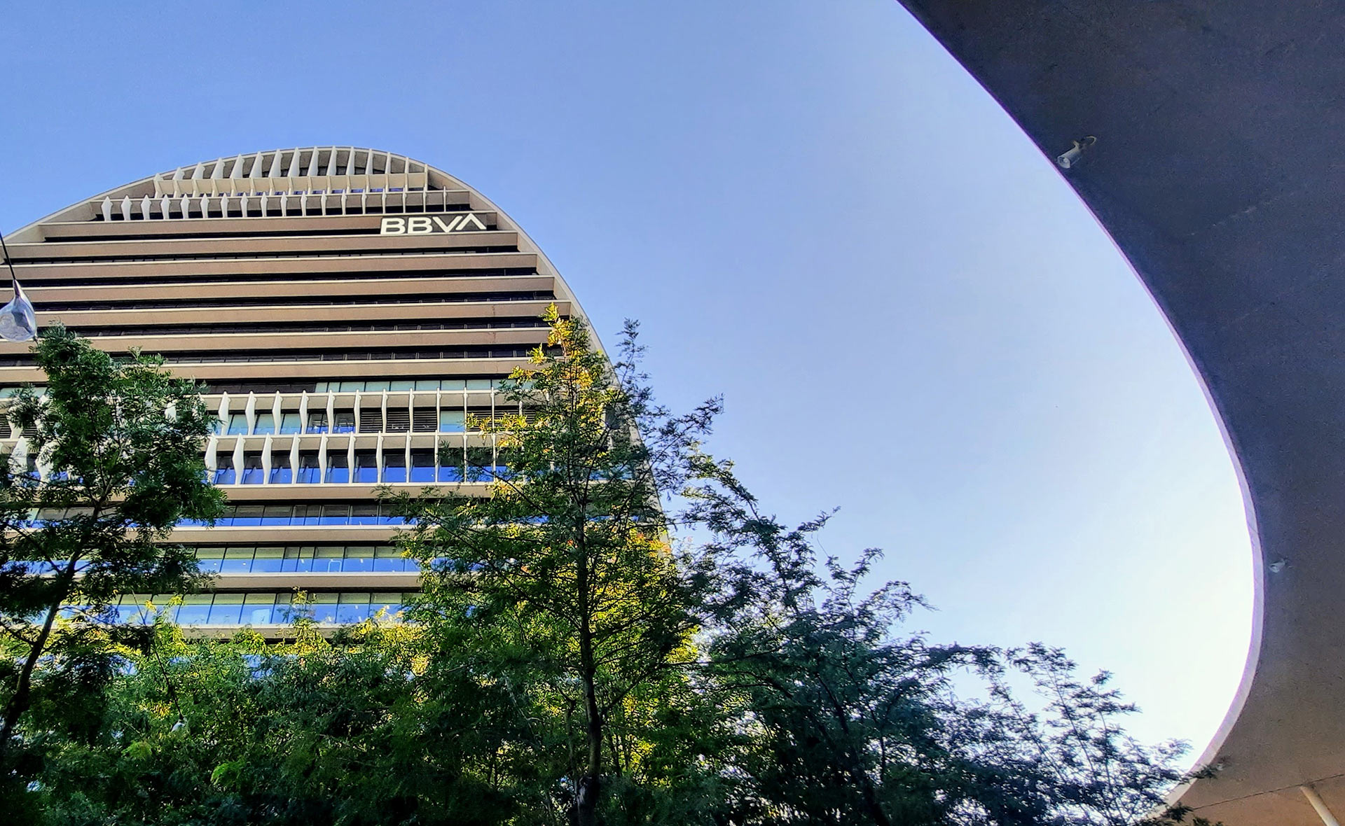 BBVA-gallup-award-2021-apertura-vela-imagen-bbva-árboles-sede-oficial-banco-ciudad-bbva-entidad