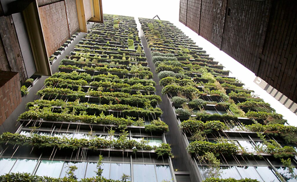 arquitectura_sostenible-bioconstruccion-edificios-