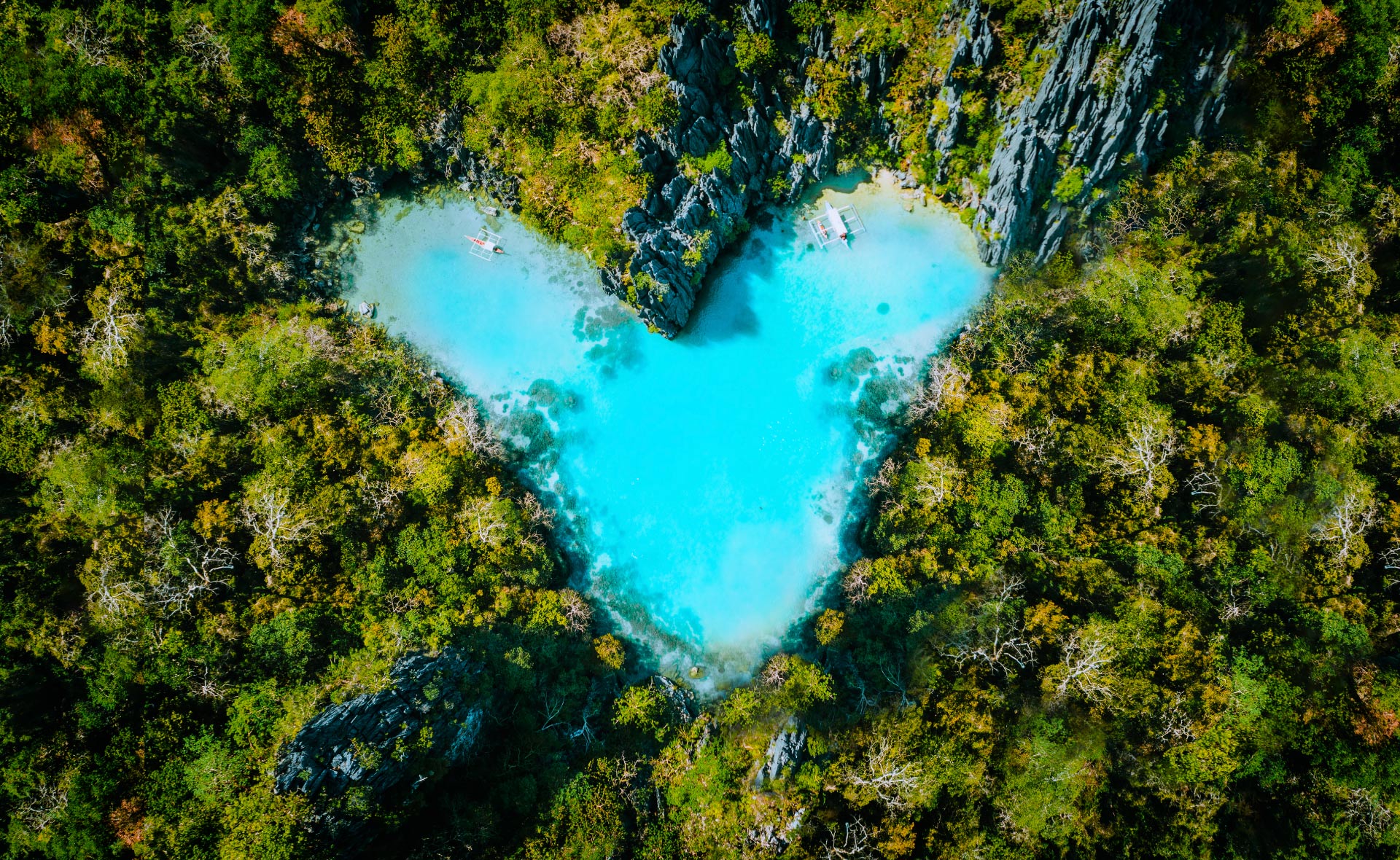 biodiversidad_agua_dulce-corazón-isla-tierra-cuidado-planeta-sostenibilidad- biodiversidad_agua_dulce-corazón-isla-tierra-cuidado-planeta-sostenibilidad-