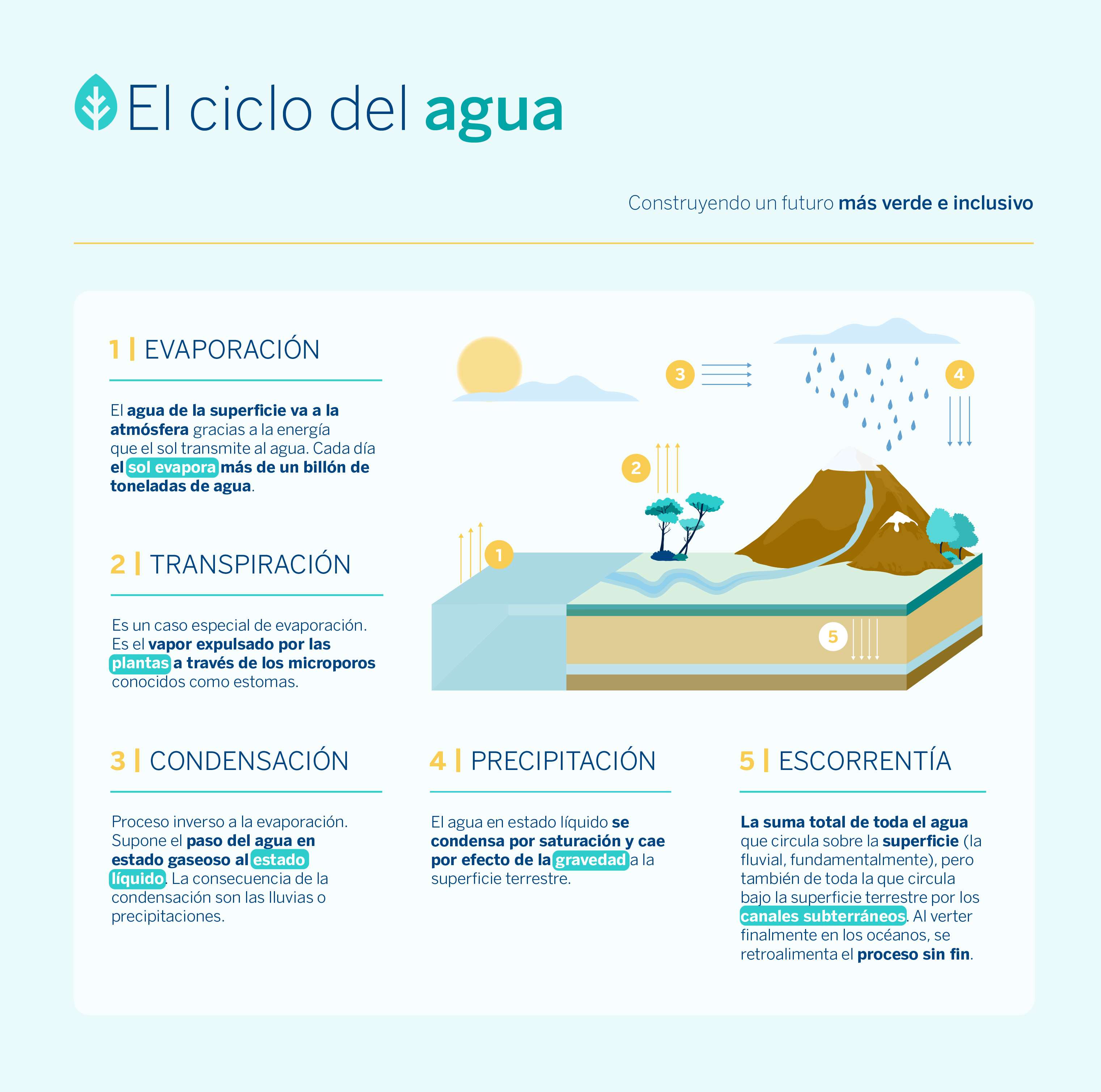 Cuál es el ciclo del agua y cómo se ve afectado por el cambio climático