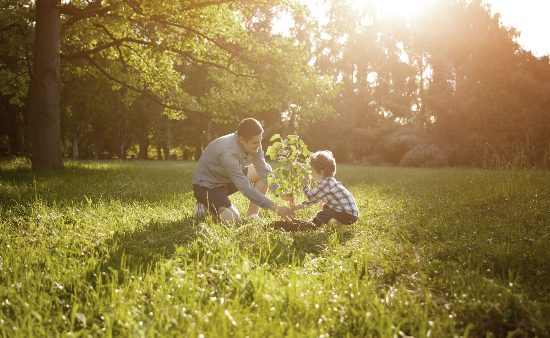 desarrollo_sostenible_apertura-familia-naturaleza-sostenibilidad-ODS desarrollo_sostenible_apertura-familia-naturaleza-sostenibilidad-ODS