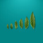 fondo-índice-sostenible- naturaleza-plantas-medioambiente-bbva