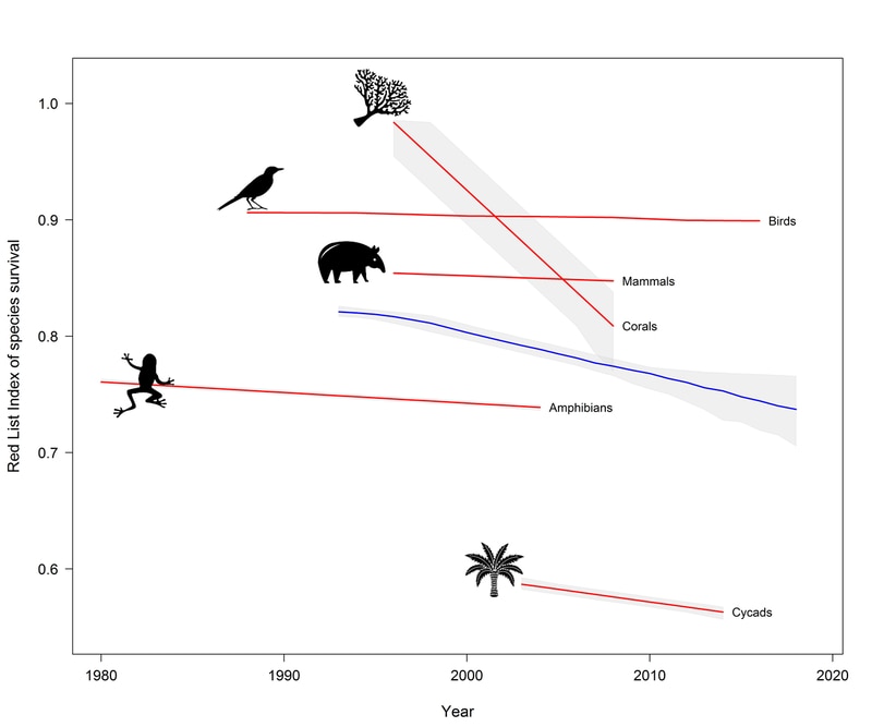 12 endangered animals 12 endangered animals