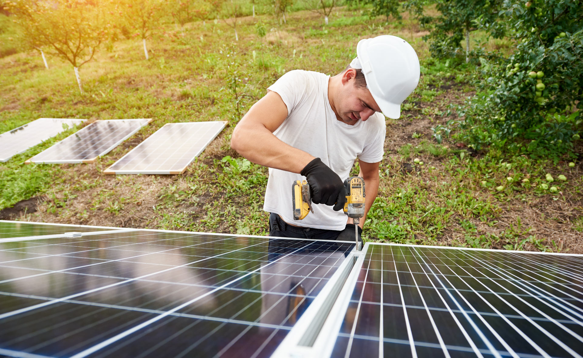 huerto-solar-energia-placas-paneles-creacion-cambios-sostenibilidad