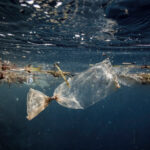 plastico-mar-bbva-sostenibilidad-ecología-contaminación-bolsa-océanos