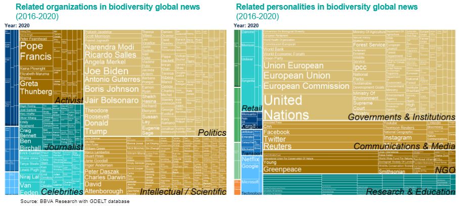 BBVA Research report_Sustainability_related organizations and personalities in biodiversity global news BBVA Research report_Sustainability_related organizations and personalities in biodiversity global news