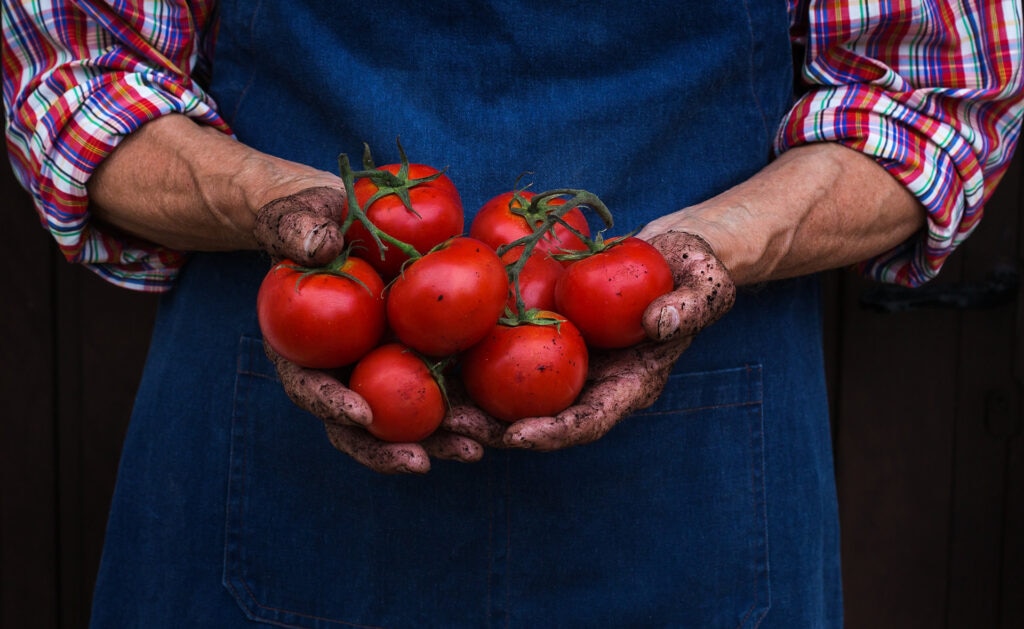 BBVA-agricultura-ecologica-apertura-tomates-alimento-sostenible BBVA-agricultura-ecologica-apertura-tomates-alimento-sostenible