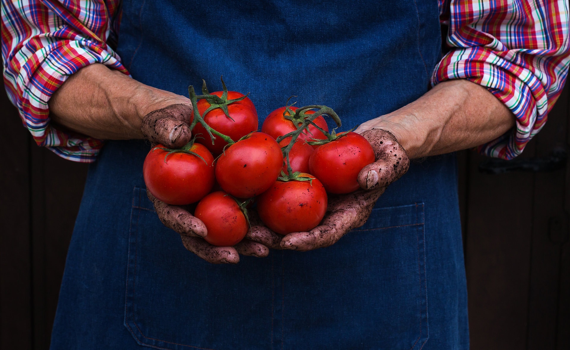 BBVA-agricultura-ecologica-apertura-tomates-alimento-sostenible