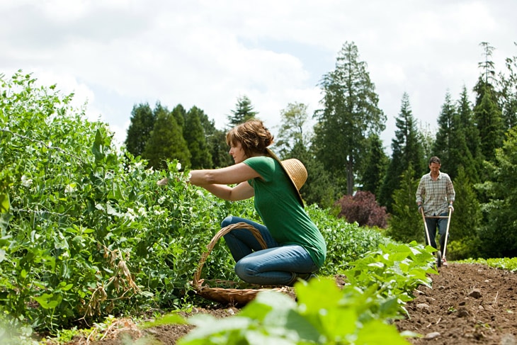 BBVA-agricultura-ecologica-int-naturaleza-sostenibilidad-tierra-alimentos-huerta