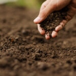 BBVA-agricultura-sostenible-apertura-hambre-cambio-climático-sostenibilidad
