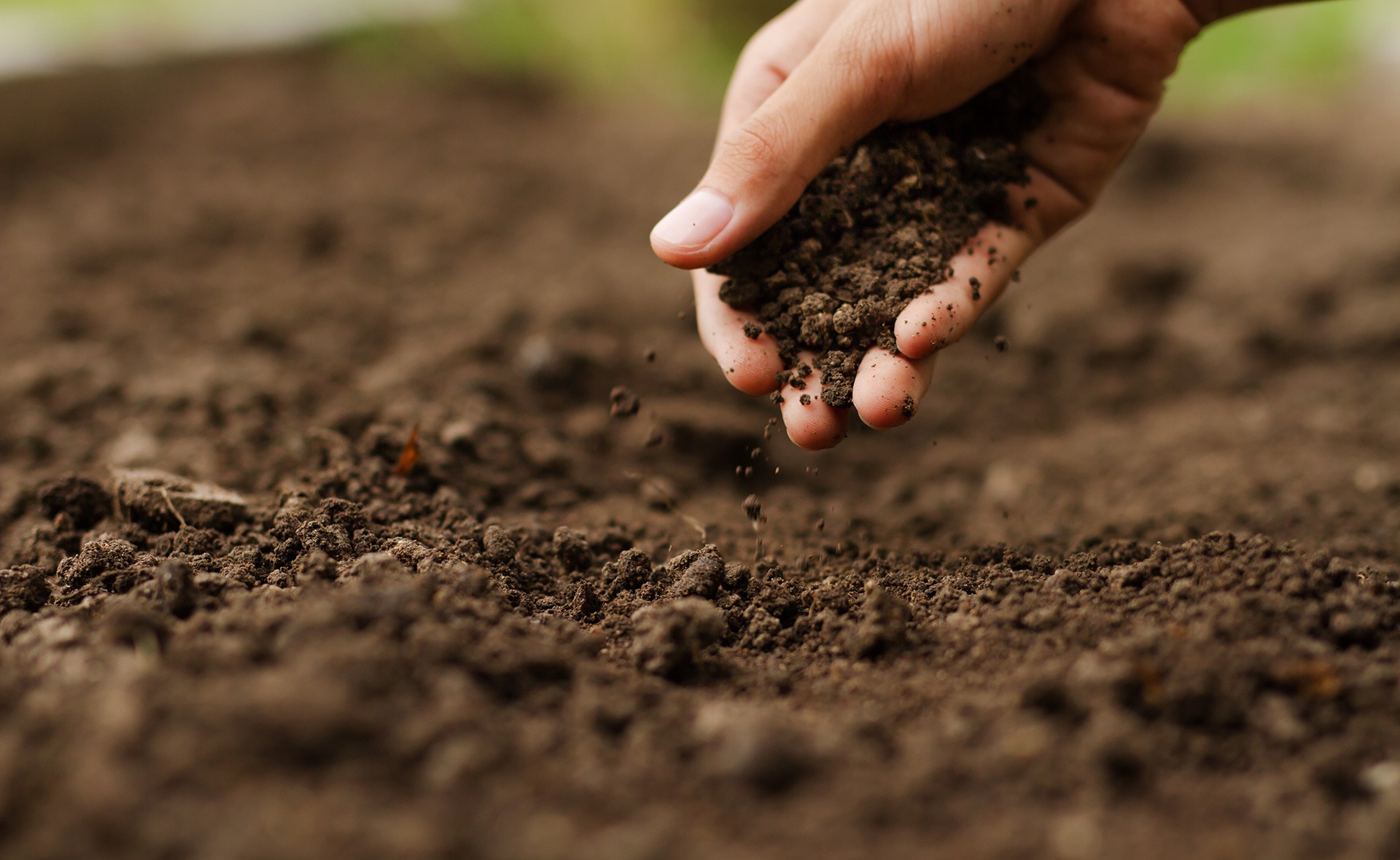 Productivo Lirio sobre La agricultura sostenible: herramienta clave contra el cambio climático