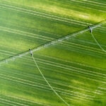 BBVA-campo-agricultura-sostenible-cambio-climático-tierra-sector