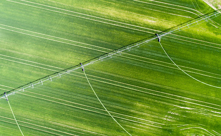 BBVA-campo-agricultura-sostenible-cambio-climático-tierra-sector