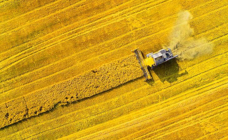 BBVA-agricultura-sostenible-sector-campo-medidas- BBVA-agricultura-sostenible-sector-campo-medidas-