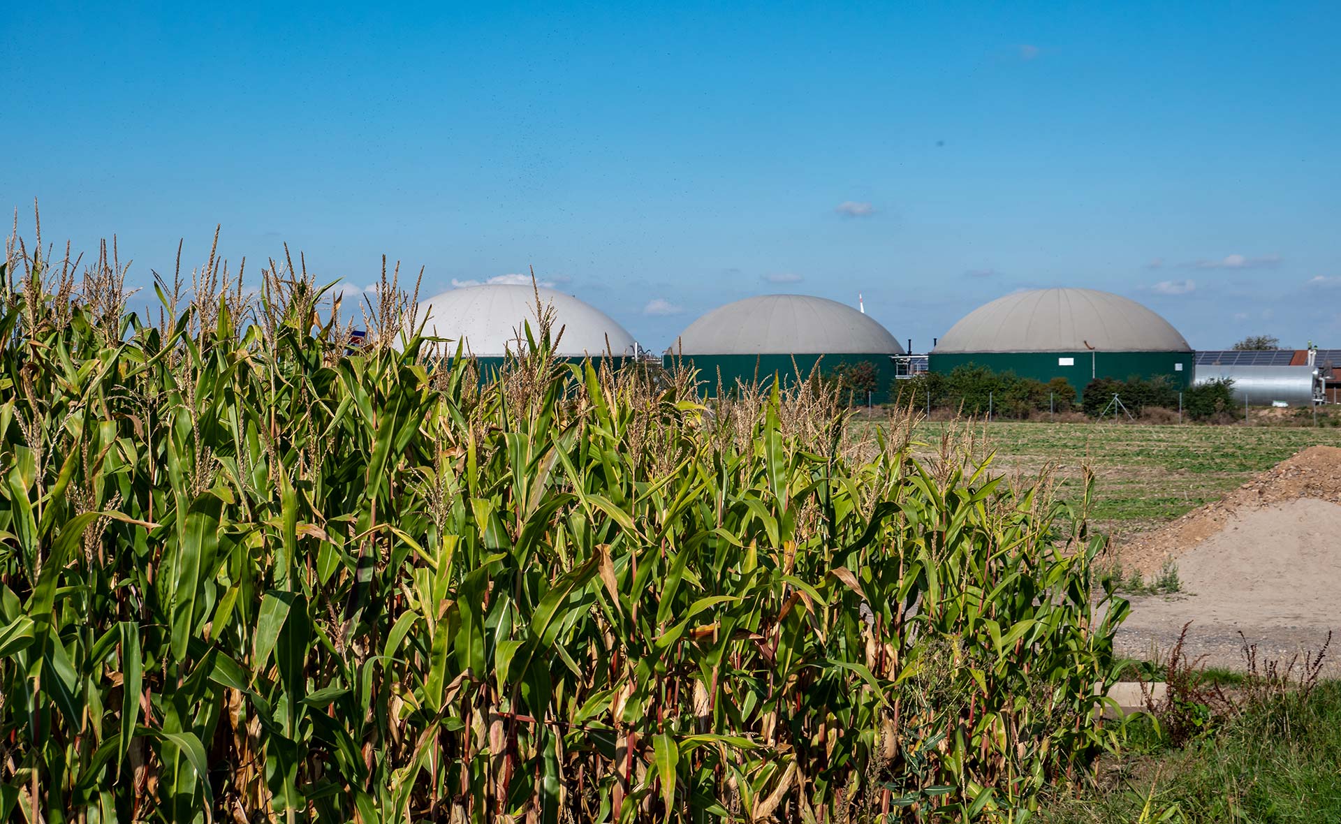BBVA-biogas-economia-circular-energía solar-energía eólica-valor BBVA-biogas-economia-circular-energía solar-energía eólica-valor