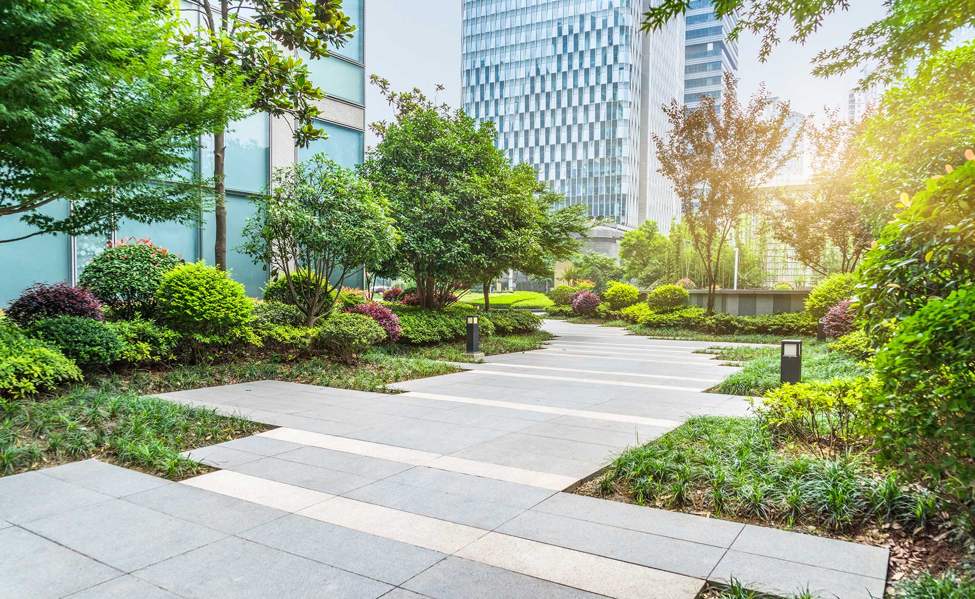 BBVA-certificado-LEED-apertura-ciudad-sostenible-cuidado-entorno-medioambiente-urbanizacion-urbano-vegetacion- BBVA-certificado-LEED-apertura-ciudad-sostenible-cuidado-entorno-medioambiente-urbanizacion-urbano-vegetacion-